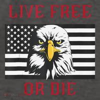Live Free Or Die Bald Eagle American Flag Vector Backpack