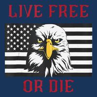 Live Free Or Die Bald Eagle American Flag Sustainable Bucket Hat