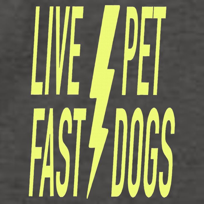 Live Fast Pet Dogs. Funny Dog Lover Humorous Sarcasm Slogan Vector Backpack