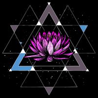 Lotus Flower Sacred Geometry Yoga Meditation Spiritual Zen V-Neck T-Shirt