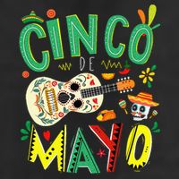Lets Fiesta Squad 5 De Mayo Mexican Fiesta Adult Drive Performance Visor