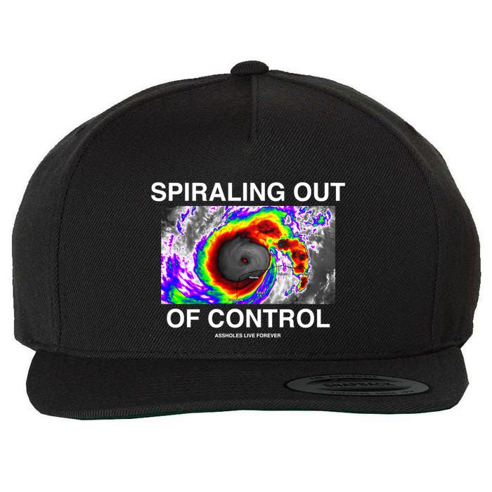 Linda Finegold Store Spiraling Out Of Control Wool Snapback Cap