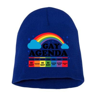 Lesbian Gay Agenda Rainbow Pride Month Funny Lgbtq Ally Homo Cute Gift Short Acrylic Beanie