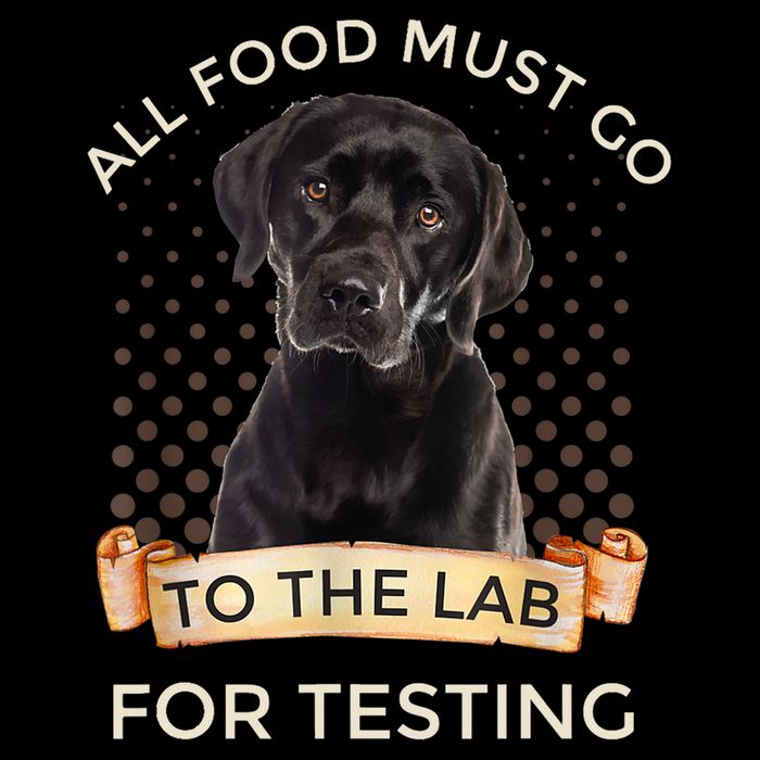 Labrador Gifts All Food Must Go To The Lab For Testing TShirt Flat Bill Trucker Hat