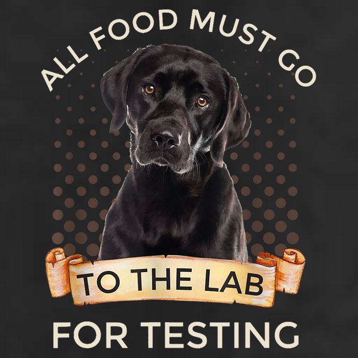 Labrador Gifts All Food Must Go To The Lab For Testing TShirt 25L Jumbo Tote