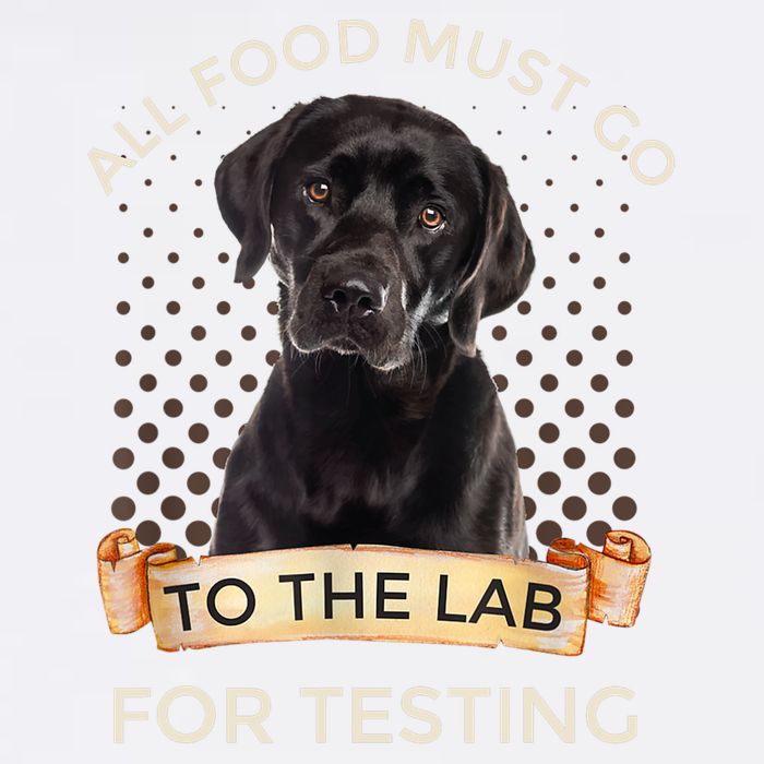 Labrador Gifts All Food Must Go To The Lab For Testing TShirt Garment-Dyed Sweatshirt