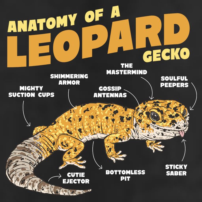 Leopard Gecko Anatomy Cool Comfort Performance Bucket Hat