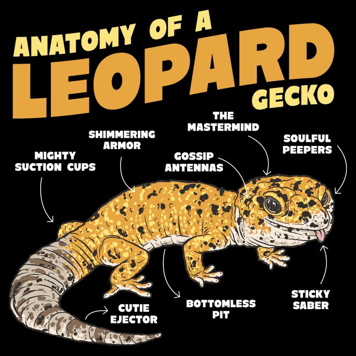Leopard Gecko Anatomy Drawstring Bag