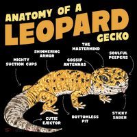 Leopard Gecko Anatomy 16 in Basic Backpack