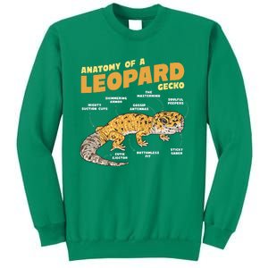 Leopard Gecko Anatomy Sweatshirt