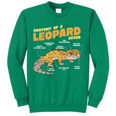 Leopard Gecko Anatomy Sweatshirt
