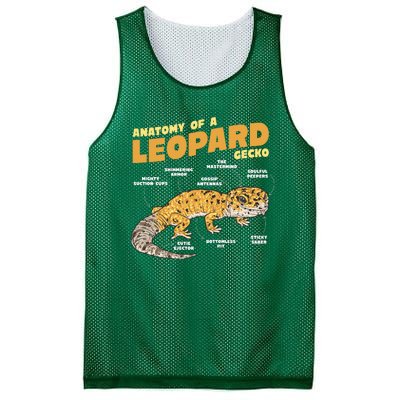 Leopard Gecko Anatomy Mesh Reversible Basketball Jersey Tank