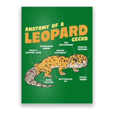 Leopard Gecko Anatomy Poster