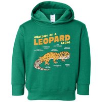 Leopard Gecko Anatomy Toddler Hoodie