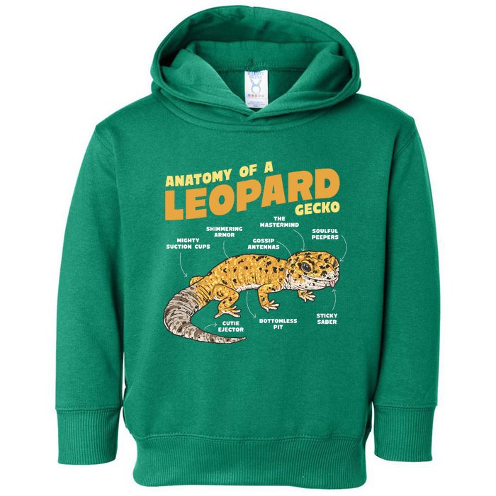 Leopard Gecko Anatomy Toddler Hoodie