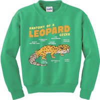 Leopard Gecko Anatomy Kids Sweatshirt