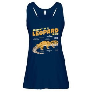 Leopard Gecko Anatomy Ladies Essential Flowy Tank