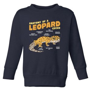 Leopard Gecko Anatomy Toddler Sweatshirt