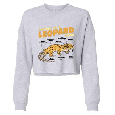 Leopard Gecko Anatomy Cropped Pullover Crew