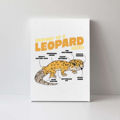 Leopard Gecko Anatomy Canvas