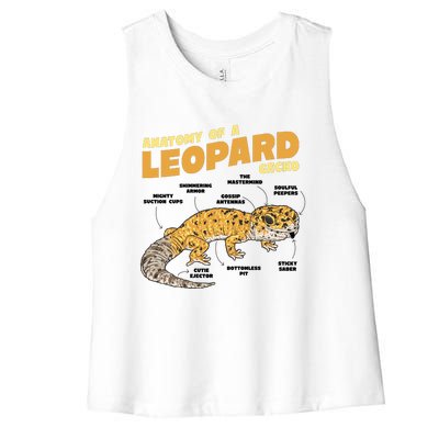 Leopard Gecko Anatomy Women's Racerback Cropped Tank