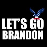 Let's Go Brandon American Bald Eagle Women's V-Neck T-Shirt