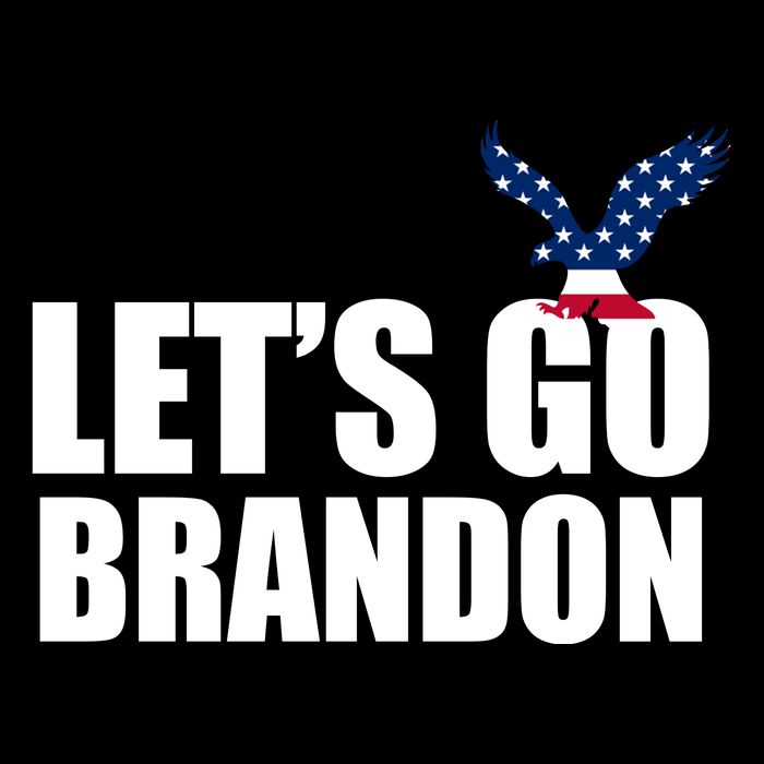 Let's Go Brandon American Bald Eagle Women's V-Neck T-Shirt