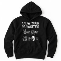 Let Go Brandon, Lets Go Brandon, Fjb, Brandon Flag, Impeach Biden, Meme, Fjb Fun Hoodie