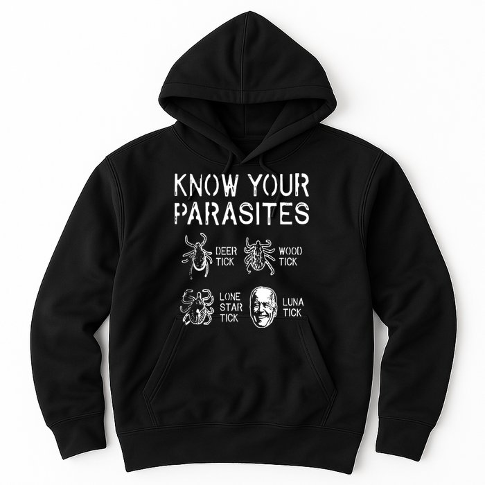 Let Go Brandon, Lets Go Brandon, Fjb, Brandon Flag, Impeach Biden, Meme, Fjb Fun Hoodie