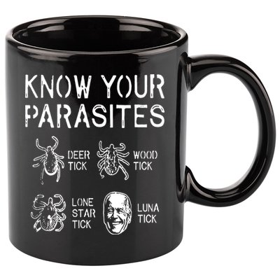 Let Go Brandon, Lets Go Brandon, Fjb, Brandon Flag, Impeach Biden, Meme, Fjb Fun 11oz C Handle Ceramic Mug