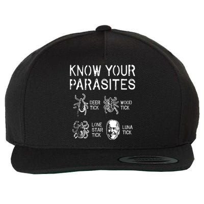 Let Go Brandon, Lets Go Brandon, Fjb, Brandon Flag, Impeach Biden, Meme, Fjb Fun Wool Snapback Cap