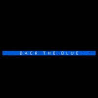 Let's Go Brandon Blue Thin Line Back The Blue FJB Chant 16oz Travel Tumbler