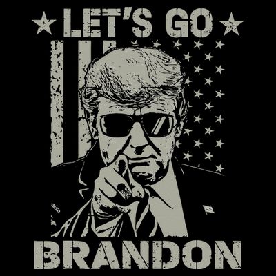 Lets Go Braden Brandon US Flag Funny Trendy Sarcastic T-Shirt