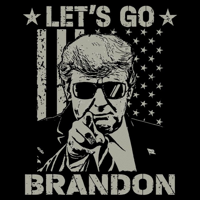 Lets Go Braden Brandon US Flag Funny Trendy Sarcastic 16 in Basic Backpack