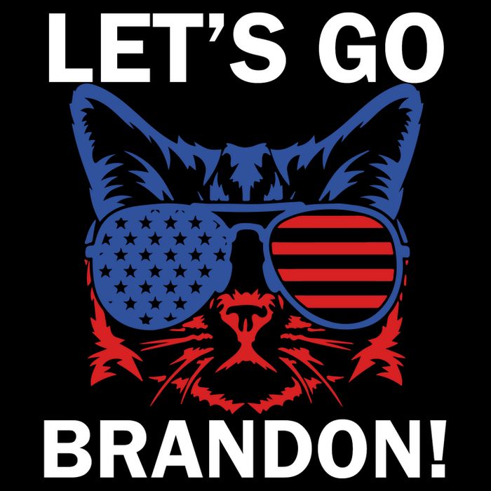Let’s Go Brandon Cat Conservative American Flag Sustainable Bucket Hat