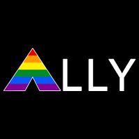 LGBT Ally Flag March Rally Pride Parade LGBT Equality Button