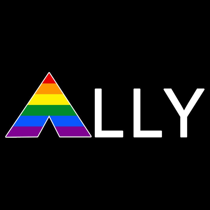 LGBT Ally Flag March Rally Pride Parade LGBT Equality Button
