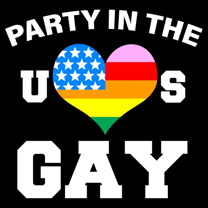 LGBT Party In The US Gay Women's V-Neck T-Shirt