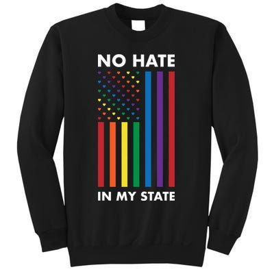 LGBT Pride Flag No Hate In My State Sweatshirt