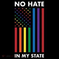 LGBT Pride Flag No Hate In My State Sustainable Beanie