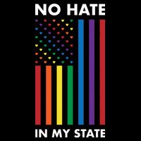 LGBT Pride Flag No Hate In My State Crop Top