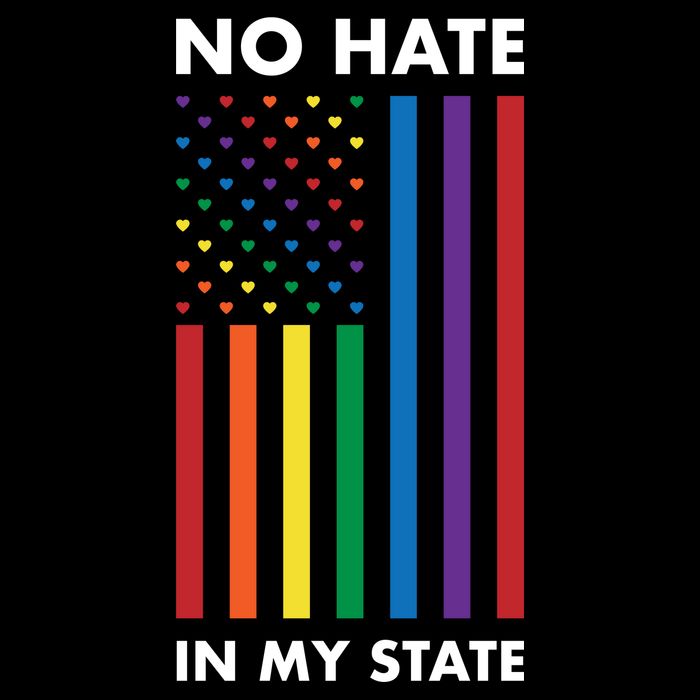 LGBT Pride Flag No Hate In My State Crop Top