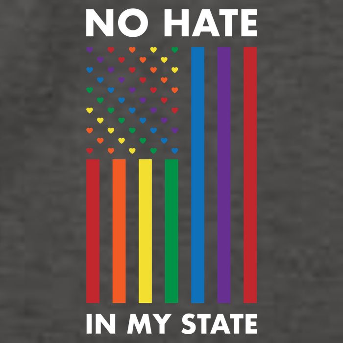 LGBT Pride Flag No Hate In My State Vector Backpack