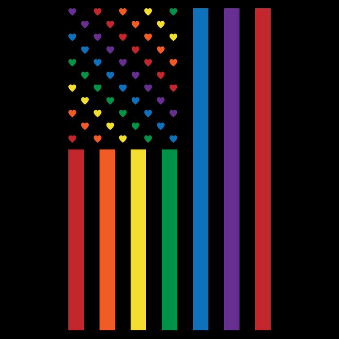 LGBT Rainbow Pride Flag Women's V-Neck T-Shirt