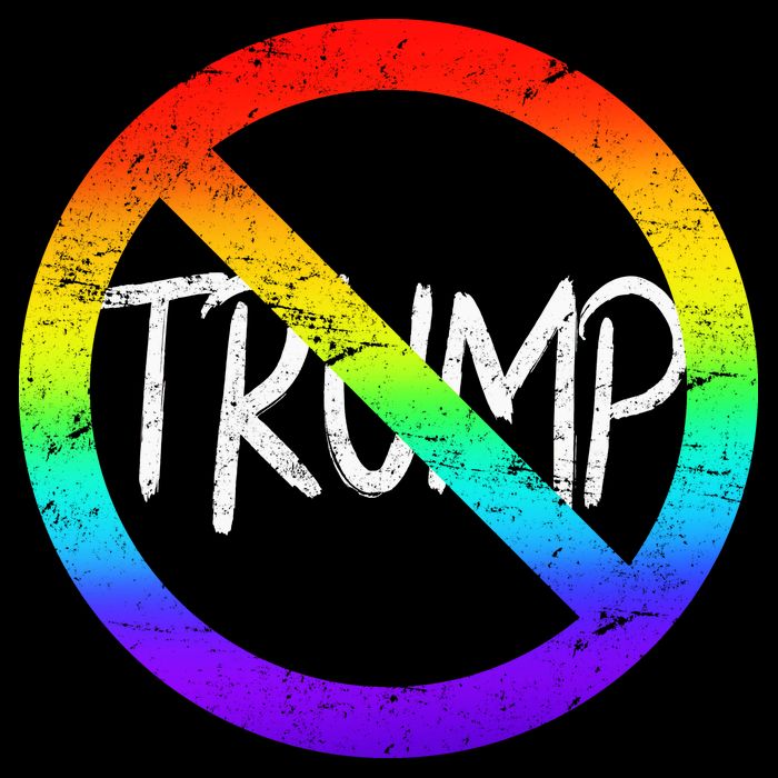 LGBT Stop Trump Rainbow Gay Pride T-Shirt