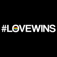 LGBT Supporters Love Wins T-Shirt