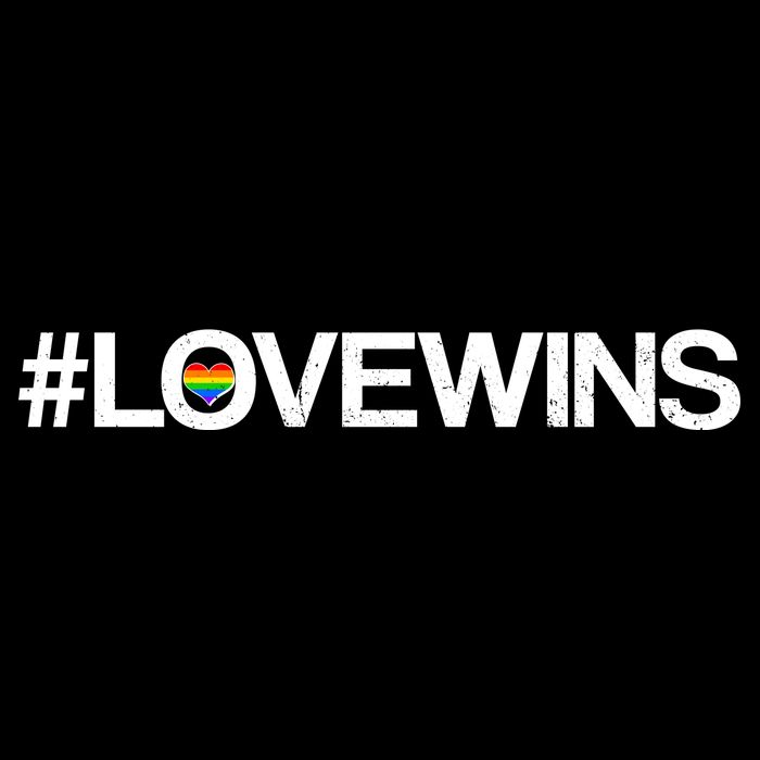LGBT Supporters Love Wins T-Shirt