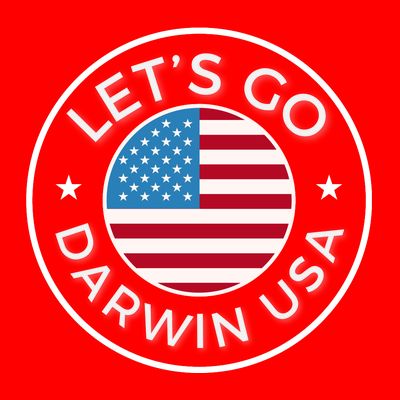 Lets Go Darwin Vintage Funny Darwin America Flag T-Shirt