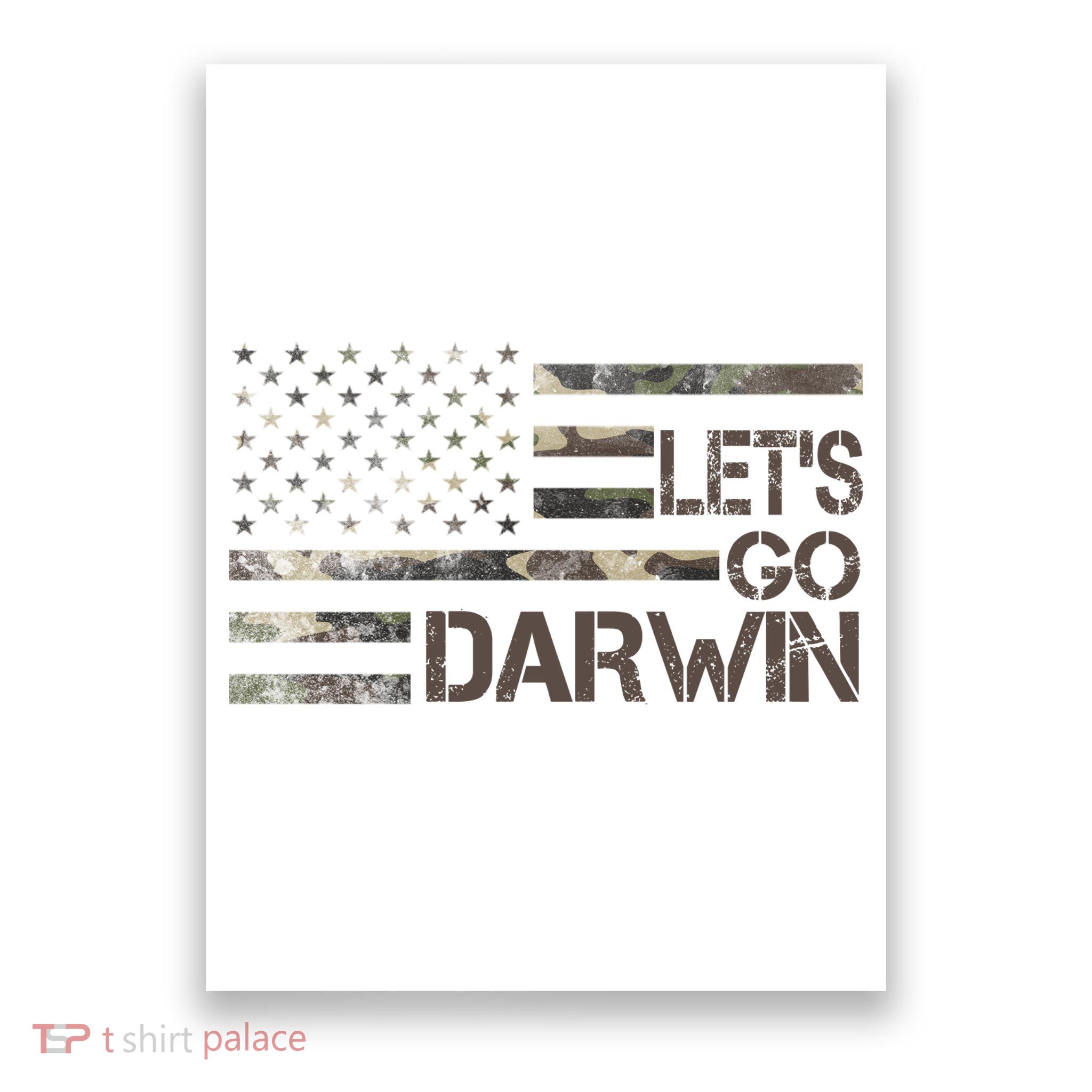 Lets Go Darwin US Camo Military Flag Poster