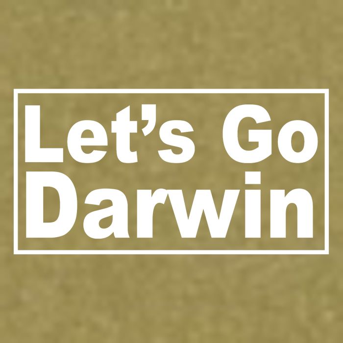 Let's Go Dwarin Garment-Dyed Women's Muscle Tee